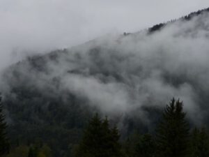 Solche Nebel mich bedrücken,